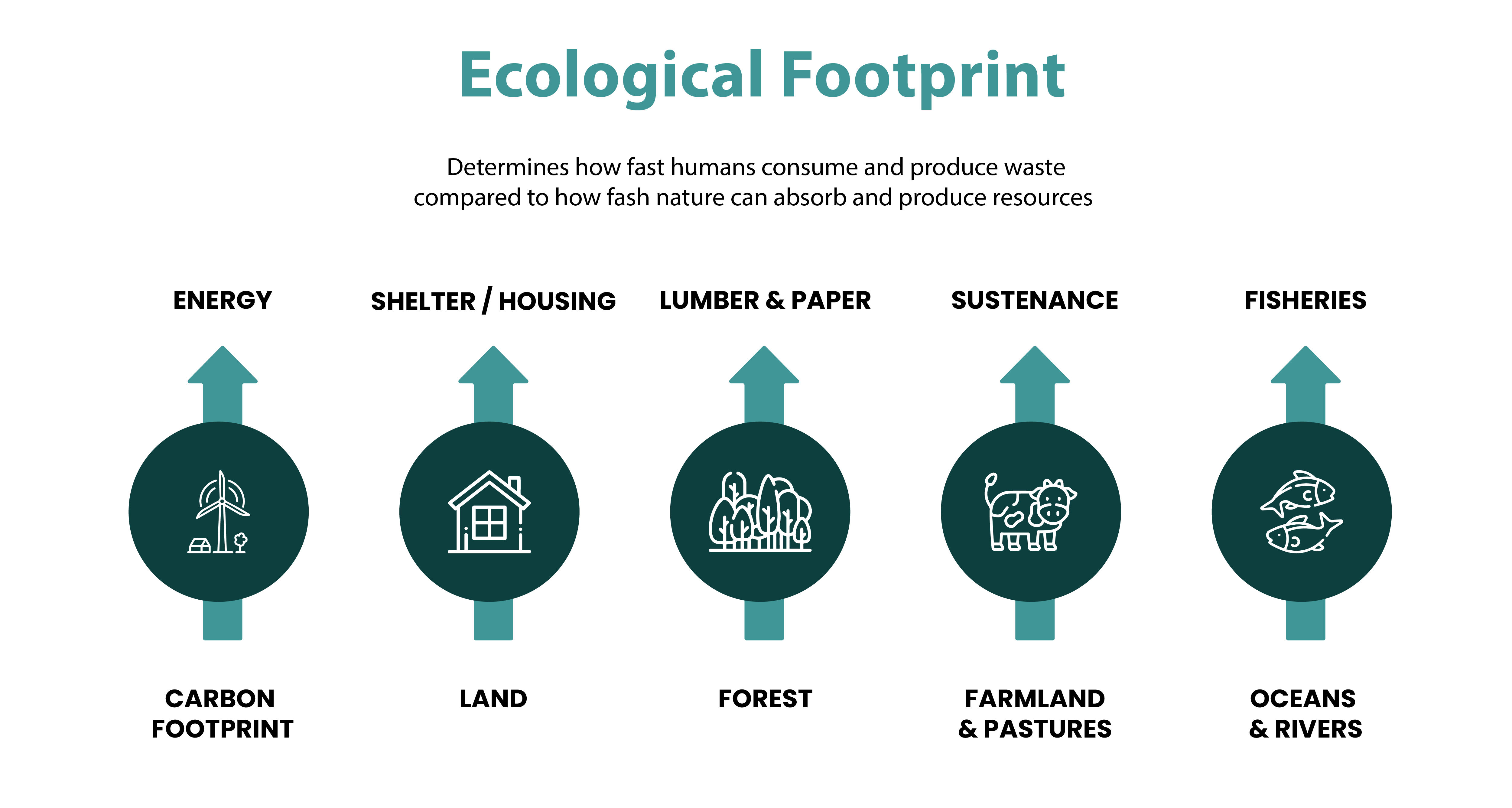 CARBON FOOTPRINT_ECOLOGICAL FOOTPRINT-1