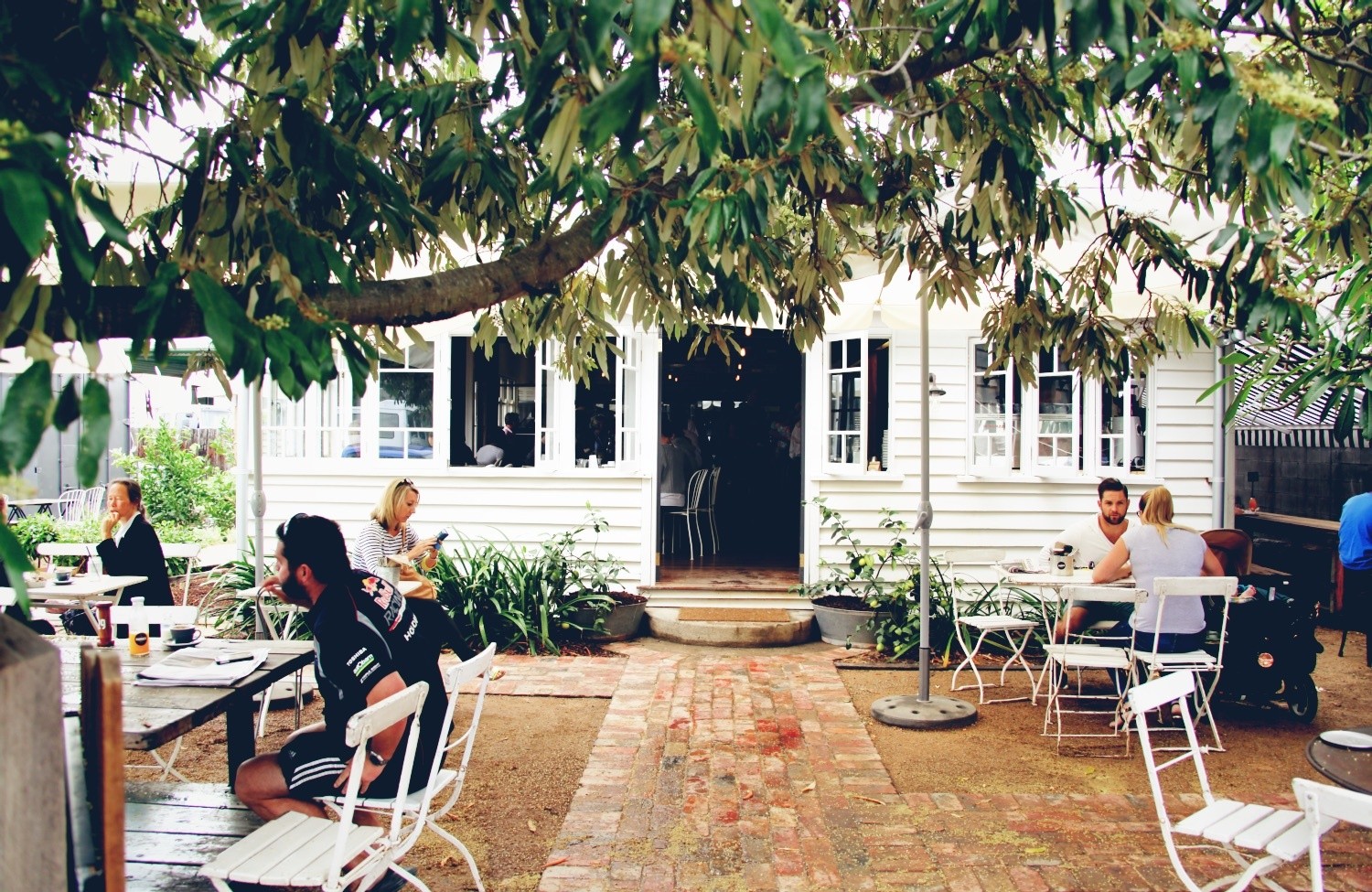 IMG_8595-1500x975-c-center