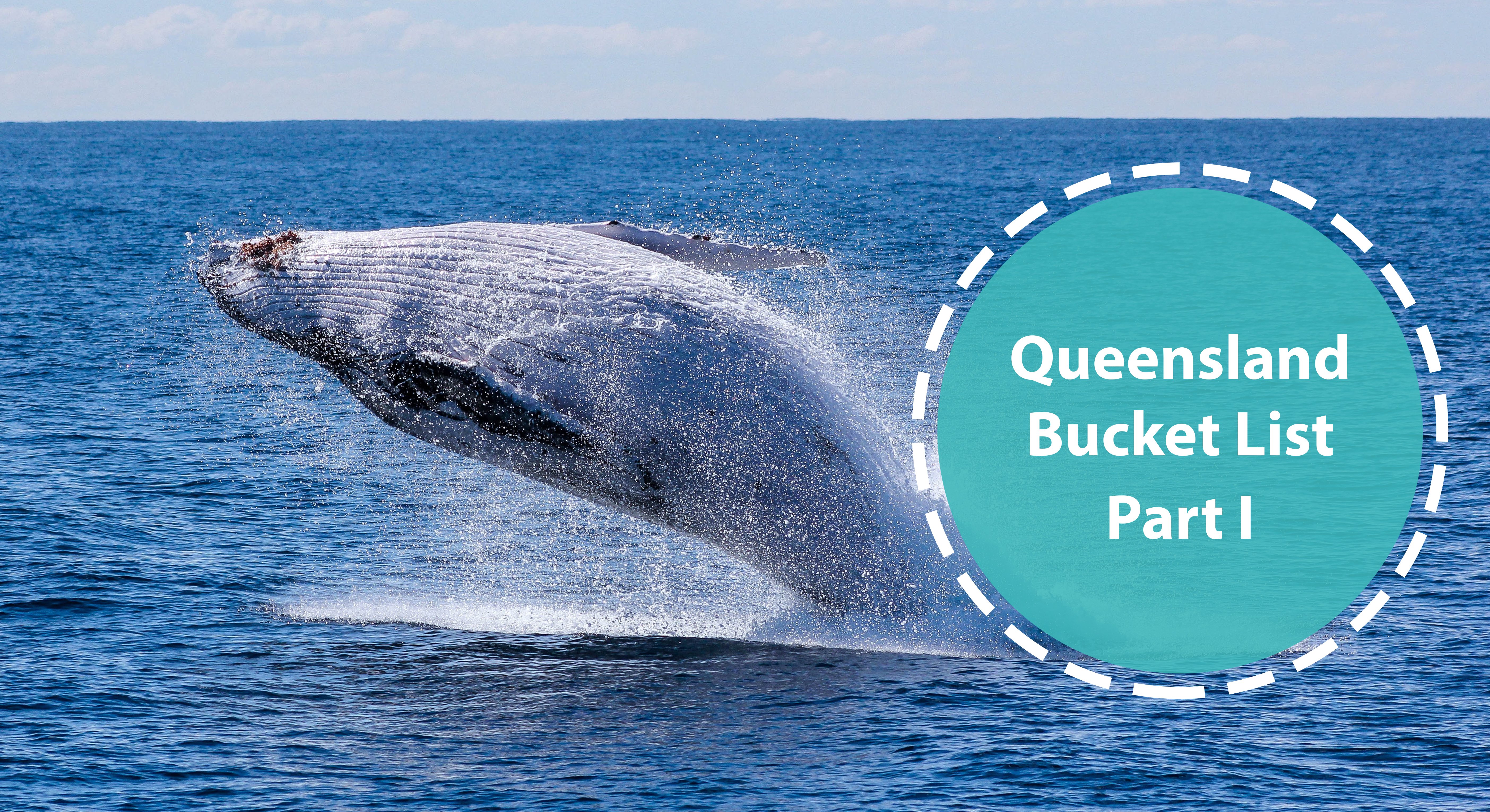 blog post queensland bucket list 1