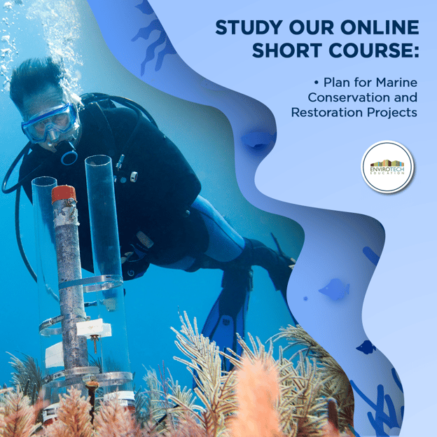 carrossel_shortcourse_marine_1080x1080px (2)