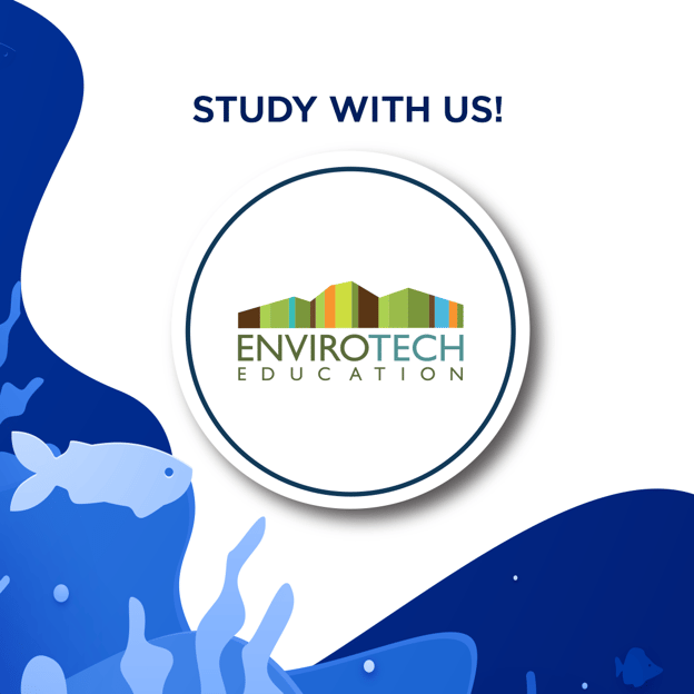 carrossel_shortcourse_marine_1080x1080px (4)