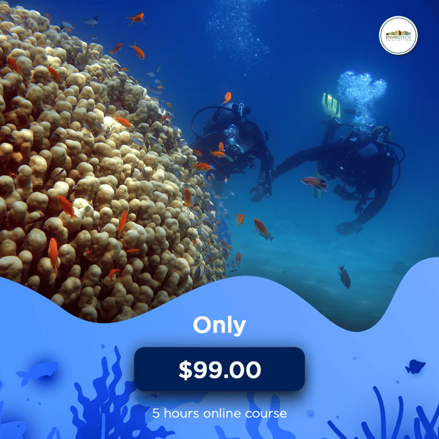 carrossel_shortcourse_marine_1080x1080px_99