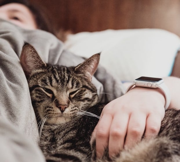 photo-1482434368596-fbd06cae4f896