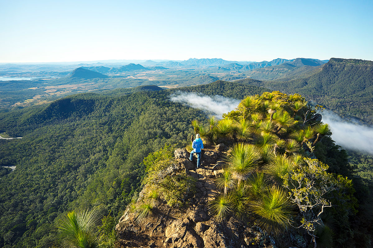 scenic-rim-trail-queensland-great-walks-of-australia-summit-mount-mitchell (1)
