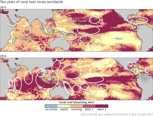 two years of coralheat stress