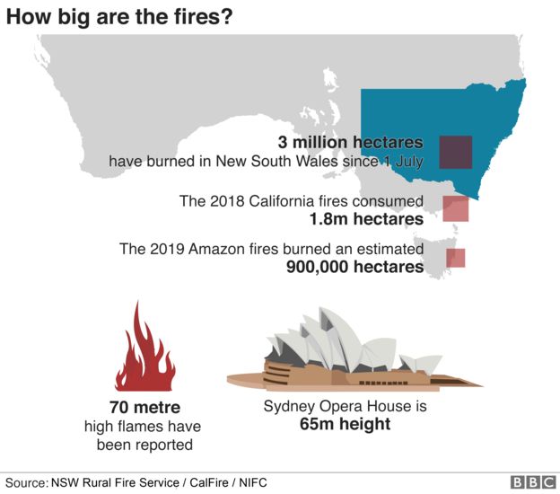 _110239531_fire_size_976